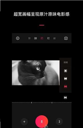 VUE(图4)