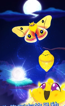彩翼之星夜(图2)