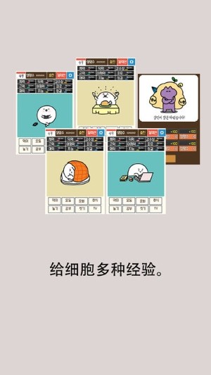 我和细胞的49天生活(图4)
