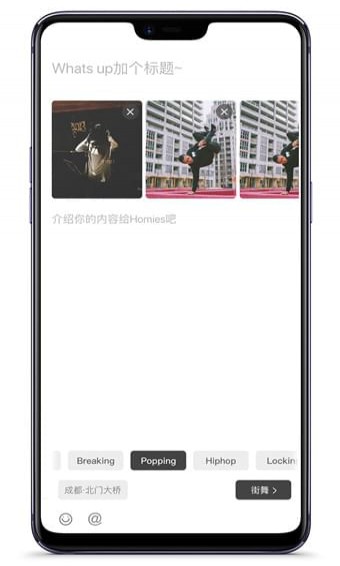 Homies(图1)