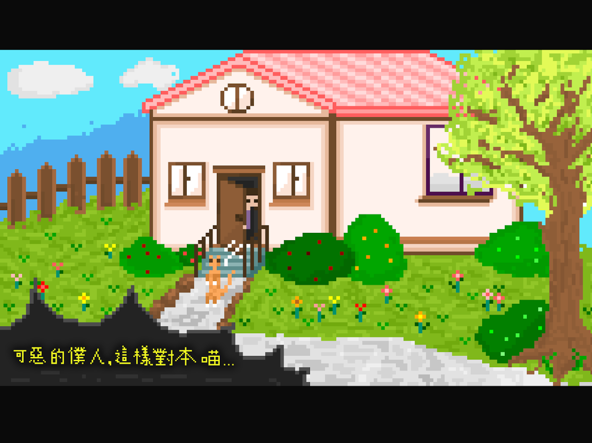小笨猫(图1)