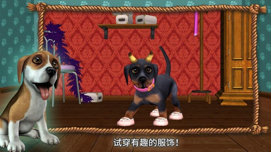 狗狗的世界(图3)