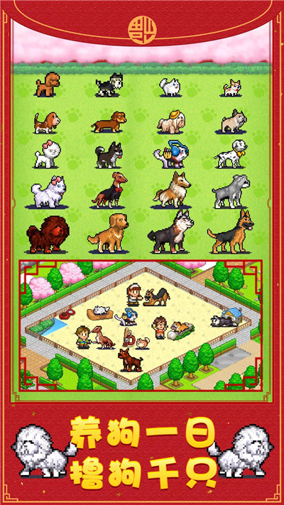 发现狗狗乐园(图3)