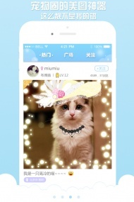 宠物说(图3)