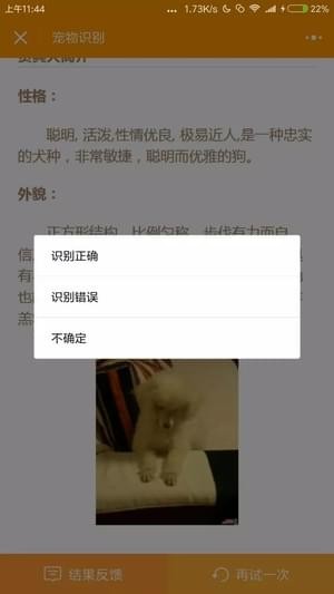 宠物识别(图1)