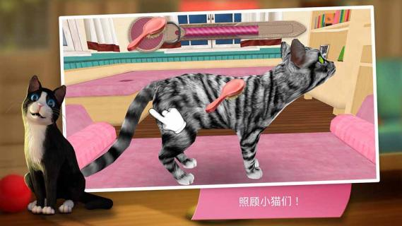 猫舍(图3)