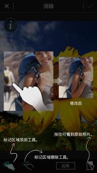 相片大师(图3)