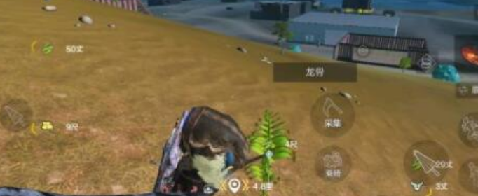 妄想山海嘉荣草有什么用