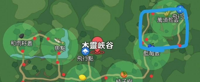 小森生活灯闪果在哪