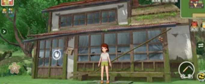 小森生活金矿采集位置在哪里