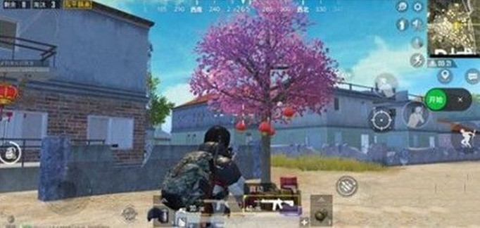 和平精英的烟花树出生位置在哪里