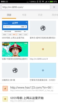 6899浏览器(图2)