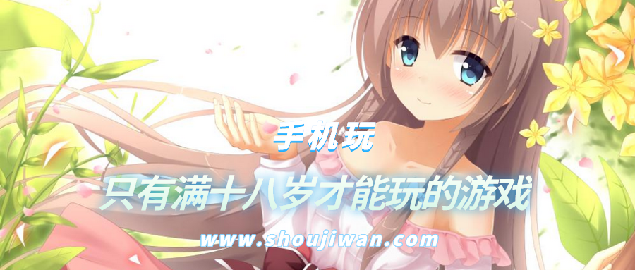 只有满十八岁才能玩的游戏