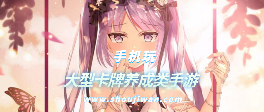 大型卡牌养成类手游