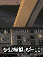 专业模拟飞行10