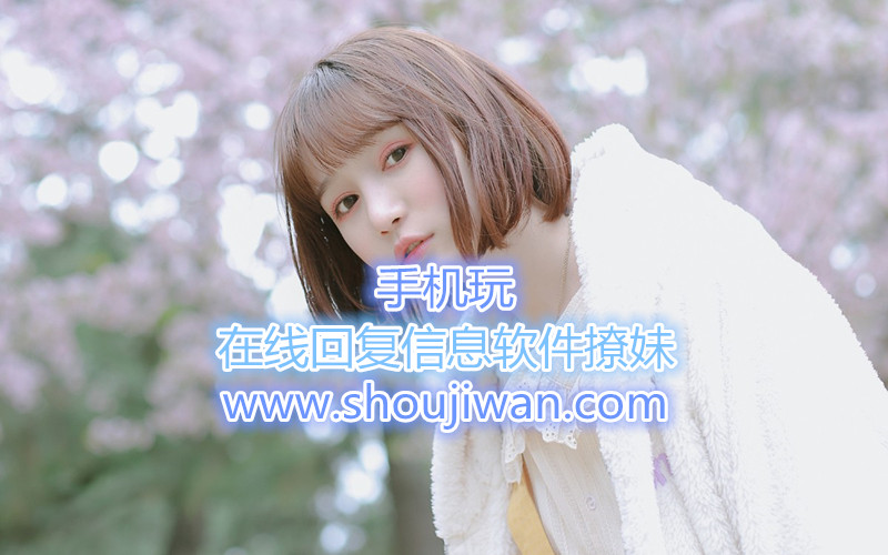在线回复信息软件撩妹