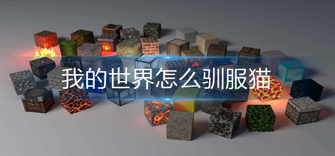 我的世界怎么驯服猫