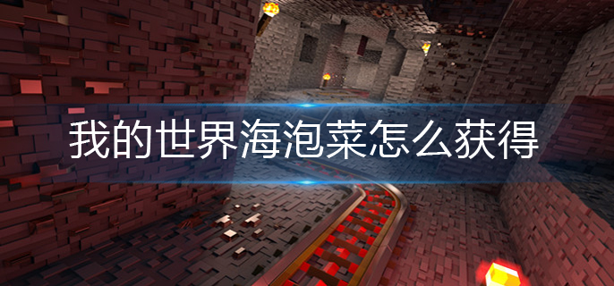我的世界海泡菜怎么获得