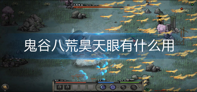 鬼谷八荒昊天眼有什么用