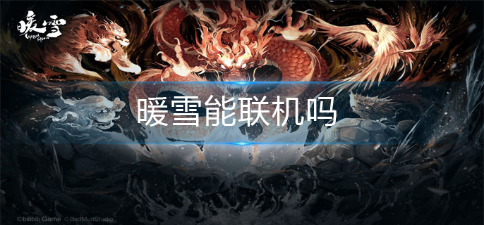 暖雪能联机吗