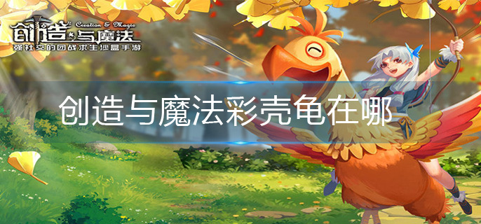 创造与魔法彩壳龟在哪