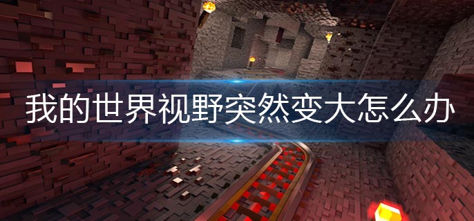 我的世界视野突然变大怎么办