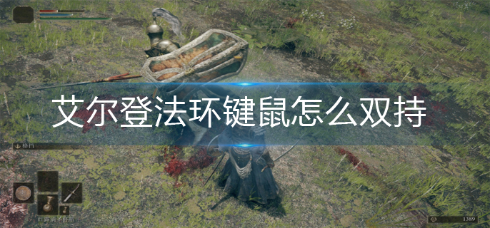 艾尔登法环键鼠怎么双持