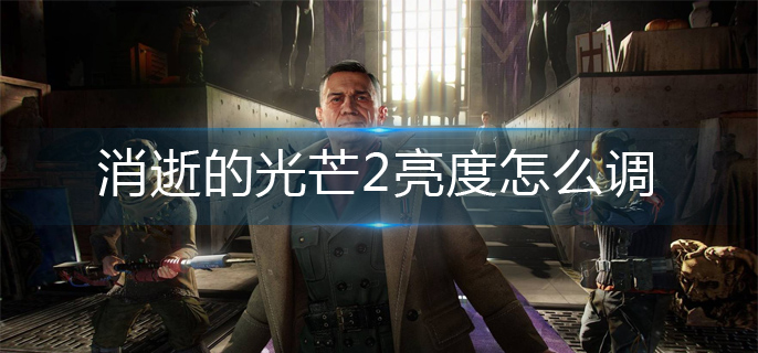 消逝的光芒2亮度设置方法