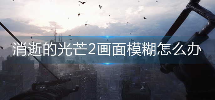 消逝的光芒2画面模糊解决办法