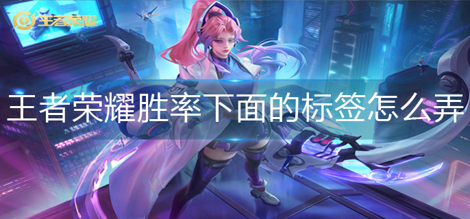 王者荣耀胜率下面的标签设置方法 王者荣耀胜率下面的标签设置方法