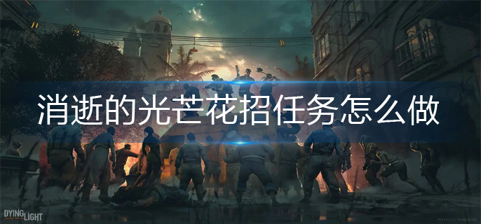 消逝的光芒花招任务完成攻略