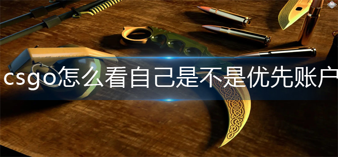 csgo优先账户查看方法