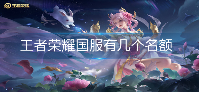 王者荣耀国服名额数量