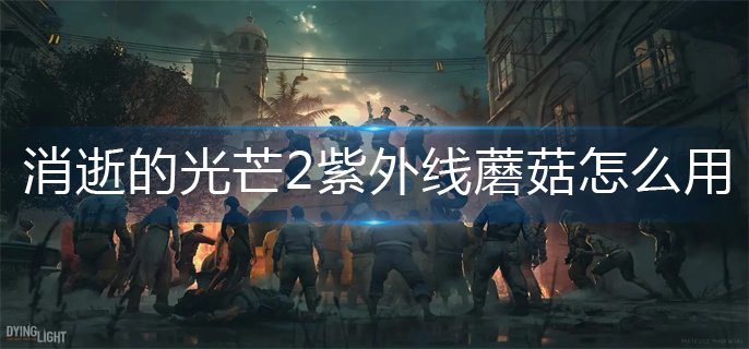 消逝的光芒2紫外线蘑菇使用方法