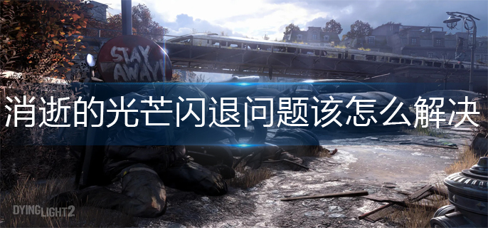 消逝的光芒闪退问题解决攻略 消逝的光芒闪退问题解决攻略