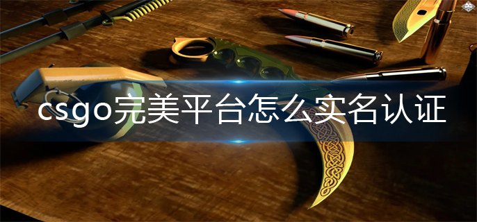 csgo完美平台实名认证方法