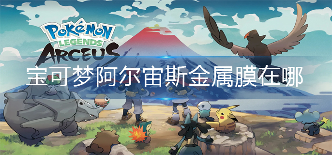 宝可梦阿尔宙斯金属膜在哪