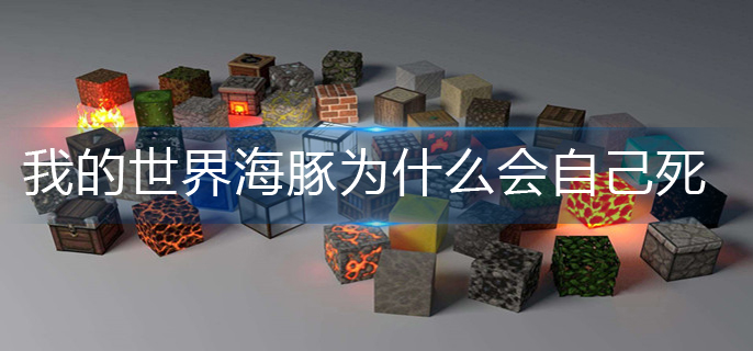 我的世界海豚死亡原因