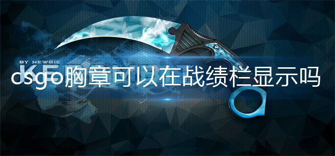 csgo胸章战绩栏显示方法