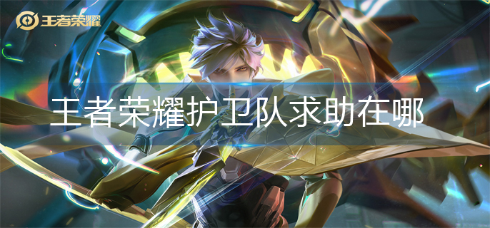 王者荣耀护卫队求助在哪