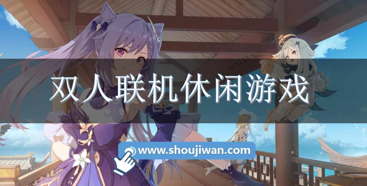 双人联机休闲游戏
