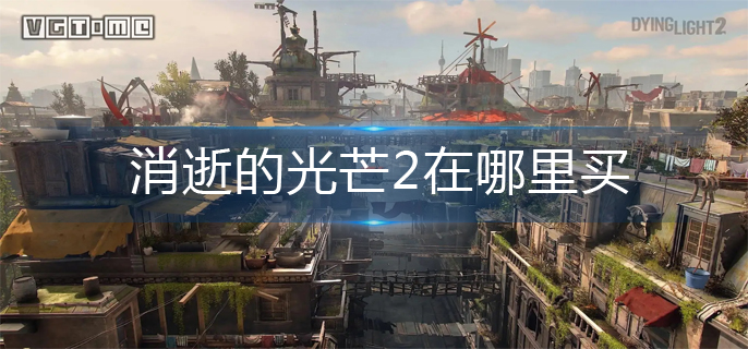 消逝的光芒2在哪里买