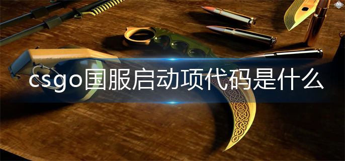 csgo国服启动项代码分享