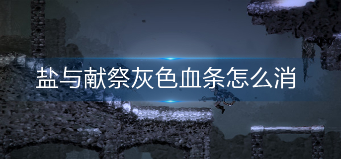 盐与献祭灰色血条消除方法 盐与献祭灰色血条消除方法
