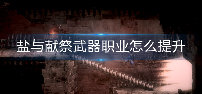 盐与献祭武器职业怎么提升-武器职业提升方法