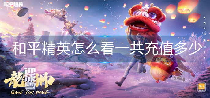 和平精英怎么看一共充值多少