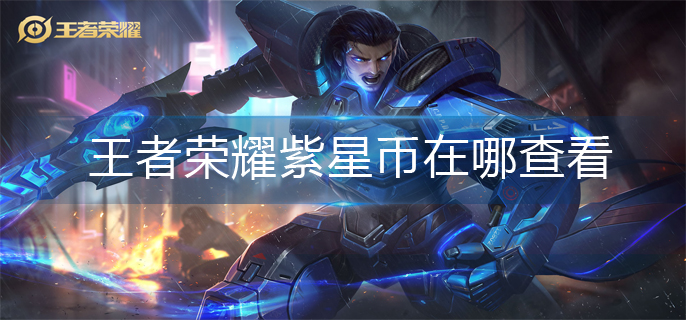 王者荣耀紫星币在哪查看-紫星币查看方法
