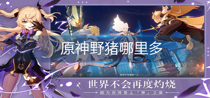 原神野猪哪里多