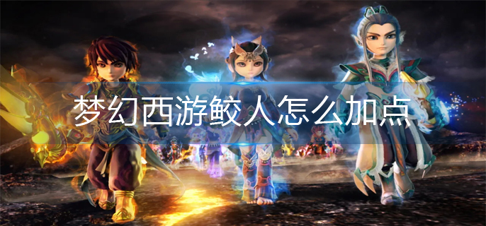 梦幻西游鲛人怎么加点