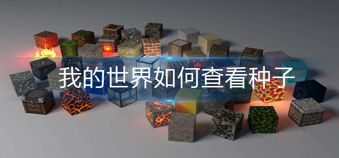 我的世界如何查看种子
